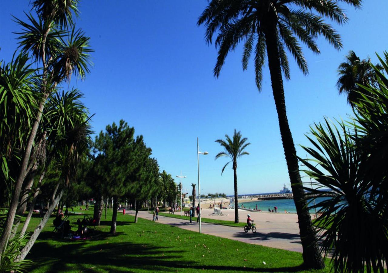 Canopee - Toulon Mourillon - 800M Des Plages Et Place De Parking Prive Exterior foto